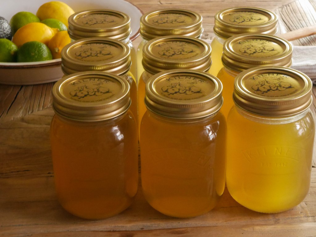 Simple Chicken Stock